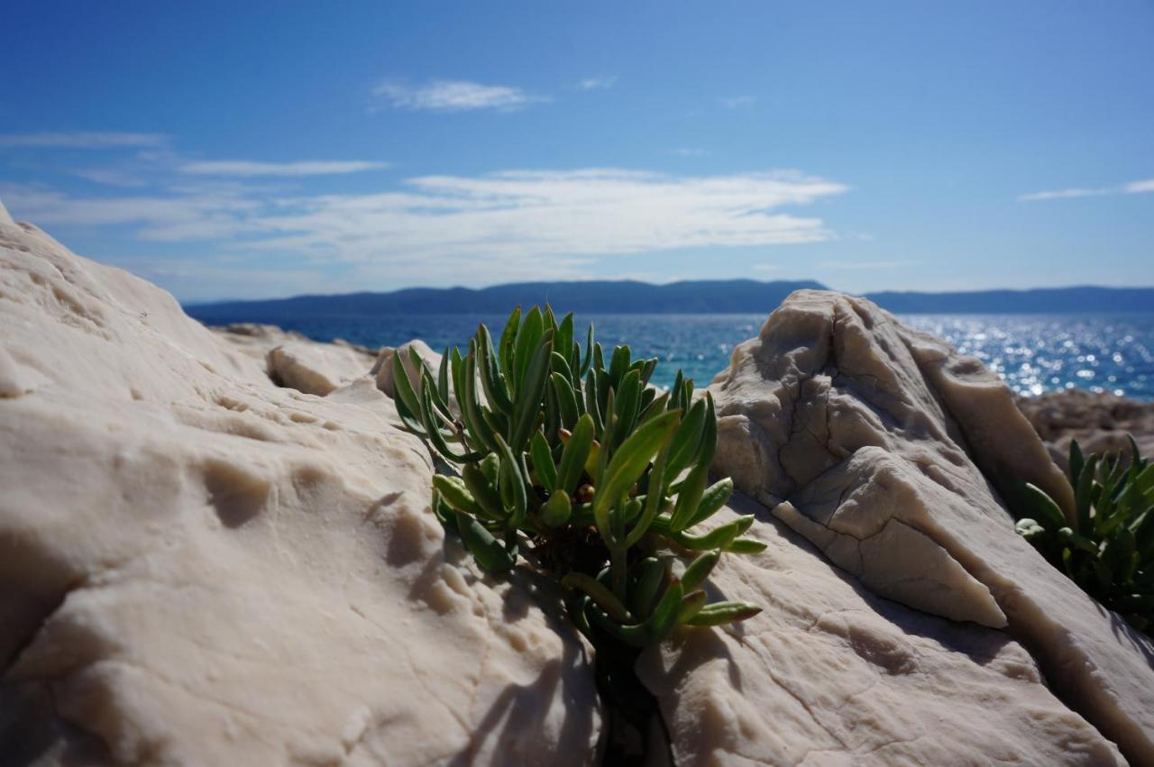 Apartment Rosanna - Intermezzo In Center Of Rabac Bagian luar foto