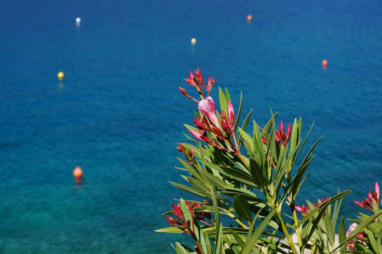 Apartment Rosanna - Intermezzo In Center Of Rabac Bagian luar foto