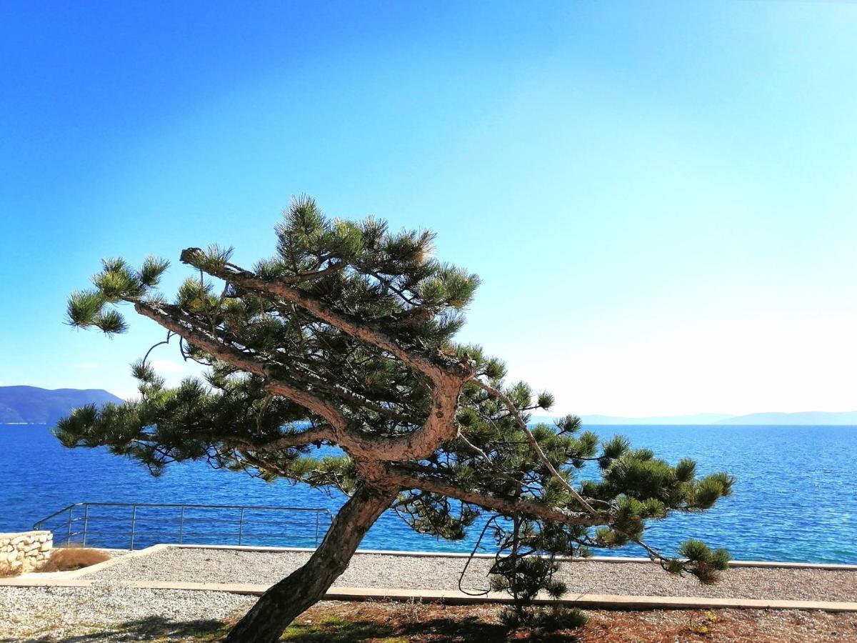 Apartment Rosanna - Intermezzo In Center Of Rabac Bagian luar foto
